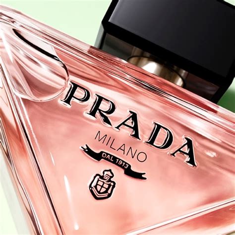 Prada paradoxe the perfume shop